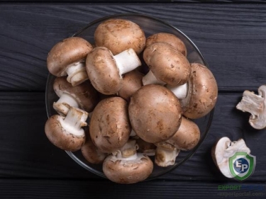 Mushrooms from USA Mushrooms from USA Mushrooms from USA